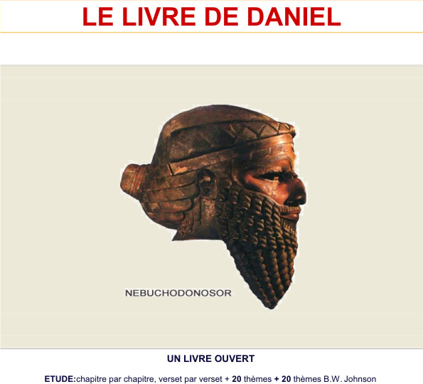 DANIEL COMPLET.pdf